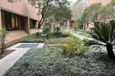 The facilities at Our Lady of Lake Regional Medical Center in Baton Rouge, LA 1